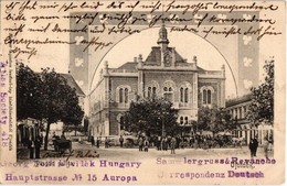 T2/T3 1902 Újvidék, Neusatz, Novi Sad; Püspöki Palota, Fahasábok. Herger Ágoston Levelezőlap Kiadóhivatalából / Bishop's - Unclassified