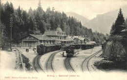 * T2/T3 Brünig, Bahnhof / Railway Station With Locomotive And Trains (EK) - Non Classés