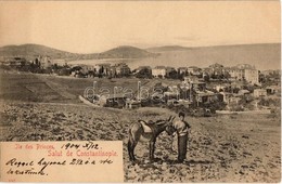 * T1/T2 1904 Constantinople, Istanbul; Ile Des Princes / Princes' Islands, Donkey - Non Classés