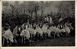 * T2/T3 1939 Kárpátaljai Folklór, Juh Fejés / Podkarpatská Rus, Dojení Ovec Na Salasi / Transcarpathian Folklore, Sheep  - Unclassified