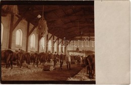 ** T1/T2 ~1908 Huszárezred Istállója, Belső / Military Barn Of The K.u.k. Hussar Regiment, Interior. Photo - Ohne Zuordnung