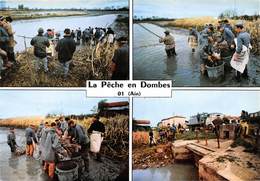 La Pêche En DOMBES - Filet - Epuisettes - Villars-les-Dombes