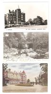 THREE POSTCARDS OF LLANDRINDOD WELLS RADNORSHIRE WALES - Radnorshire