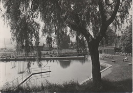 AK Thum Freibad Schwimmbad Bad A Auerbach Ehrenfriedersdorf Gelenau Geyer Drebach Thalheim Wolkenstein Erzgebirge DDR - Thum