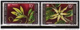 Comores N° 53 / 54 XX   Fleurs Diverses, La Paire Sans Charnière TB - Other & Unclassified