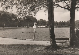 AK Freiberg Sachsen Waldbad Großer Teich Großteich Freibad Schwimmbad Bad Grenzstraße Galgenweg Erzgebirge DDR - Freiberg (Sachsen)