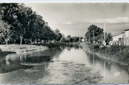 17 - SAUJON - La Seudre - Saujon