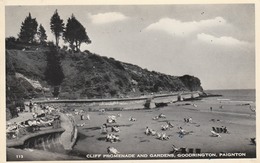 PAIGNTON  GOODRINGTON     CLIFF PROMENADE AND GARDENS - Paignton