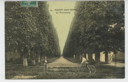 MUSSY SUR SEINE - La Promenade (carte Toilée) - Mussy-sur-Seine