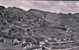 Les Monts De Grandvaux Vu D'avion (10369) - Grandvaux