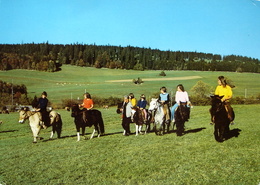 SAIGNELEGIER Ponyreiten - Saignelégier