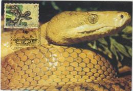 Carte-Maximum NATIONS UNIES VIENNE N° Yvert 309 (ANACONDA JAUNE) Obl Sp Ill 1er Jour - Maximum Cards