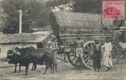 Ceylon Native Bullock Cart   Edit Platé 18.  Used From Colombo To Mr Montpellier Perpignan . Attelage Boeufs - Sri Lanka (Ceylon)