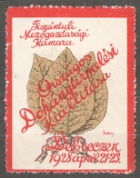 Tobacco Leaf Cigarette Cigarettes Agriculture Exhibition Advertising 1928 Hungary DEBRECEN LABEL CINDERELLA VIGNETTE - Tobacco