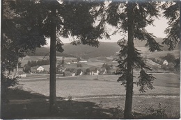 Foto Rohling Für AK Sosa A Eibenstock Johanngeorgenstadt Aue Erlabrunn Bockau Tröger Vogel Schwarzenberg Erzgebirge - Sosa