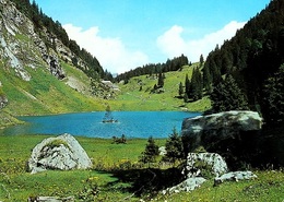 FILZBACH Talalpsee - Filzbach