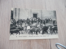 CPA 20 Corse Bénédiction Des Cochons à Zilia - Other & Unclassified