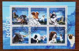 GUINEE Chiens, Chien, Dog, Perro, Hunde, 6 Valeurs De 2009. Bloc Oblitéré, Used - Hunde