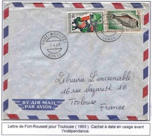 Congo Lettre Fort Rousset 1963 Cover Poisson Fish - Covers & Documents