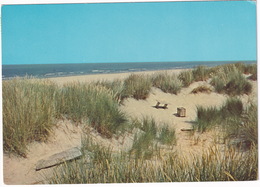 Groeten Van Ameland - (Wadden, Holland) - Duinen, Strand, Branding - Ameland