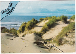 Groeten Van Ameland - (Wadden, Holland) - Zee, Duinen, Wrakhout - Ameland