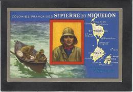 CPA Saint Pierre Et Miquelon Non Circulé Publicité Lion Noir Dos Publicitaire Voir Scan - San Pedro Y Miquelón