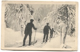 Alpinism Mountaineering Climbing Skiing - Alpes Glacier Bergen, 1918. - Bergsteigen