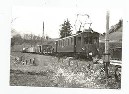 Suisse Fribourg Gruyères Train Transports Militaires A Enney Mobilisation 1939-45 , Cpm - FR Freiburg
