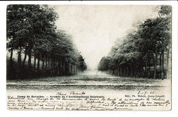 CPA - Carte Postale   Belgique-Camp De Beverloo- Avenue De Archiduchesse Stéphanie-1905 VM2288 - Beringen