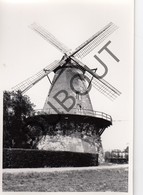 BOECHOUT Originele Foto Jaren '70 A.Carre Moulin/Molen (Q78) - Boechout