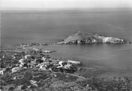 20-CENTURI- LE PORT DE L'ILE DE CENTURI- CAP CORSE - Autres & Non Classés