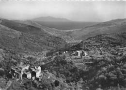 20-LURI- LA VALLE DE LURI- ET VUE SUR L'ILE DE CAPRAJA - Altri & Non Classificati