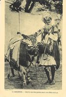 Madras (Inde) - Vache Sacrée Parée Pour La Fête Indoue - Oeuvre De La Propagation De La Foi, Carte N° 13 Non Circulée - Asia