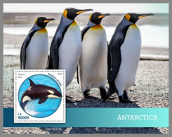SIERRA LEONE 2019 MNH Antarctica Animals Tiere Der Antarktis S/S - IMPERFORATED - DH1914 - Fauna Antártica