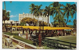 PALM BEACH EN 1956 - SHUFFLEBOARD IN THE SUNSHINE - FORMAT CPA VOYAGEE - Palm Beach