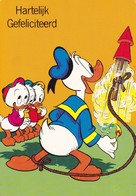 WALT DISNEY  Donald Duck  Kwik Kwek En Kwak  Old Postcard 1993 - Disneyland