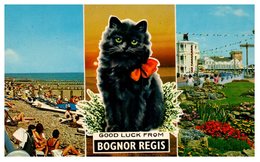 BOGNOR REGIS - Chat (pli Coin Droit) - Bognor Regis