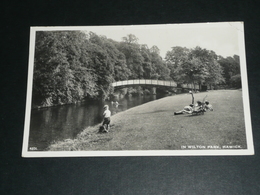 CPM, Carte Postale, Royaume Uni Ecosse, Hawick, In Wilton Park, Animée - Roxburghshire