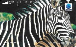 CARTE-MAGNETIQUE-INDONESIE-140U-ZEBRE-TBE - Horses