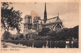 PARIS (75) Cathédrale Notre-Dame 1163-1260 Flèche Tombée 15-04-2019-Eglise-Religion - Kirchen