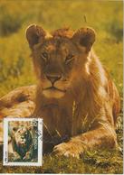 Inde Carte Maximum 1976 Lion 495 - Cartas & Documentos