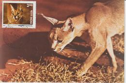 Inde Carte Maximum 1976 Caracal 497 - Briefe U. Dokumente