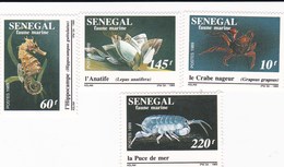 Sénégal YV 828/1 MNH 1989 Vie Marine - Marine Life