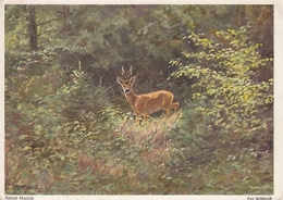 Alfred Mailick - Der Rehbock , Deer - Mailick, Alfred