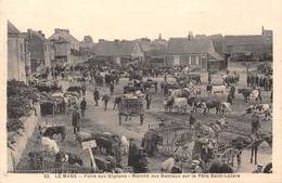 72-LE-MANS- FOIRE AUX OIGNONS- MARCHE AUX BESTIAUX SUR LE PÂTIS SAINT-LAZARE - Le Mans