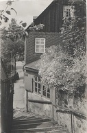 Foto Rohling Für AK Schwarzenberg Rösselberg Kirchsteig Hammerweg Rittmeistersteig Aue Lauter Neuwelt Breitenbrunn Vogel - Schwarzenberg (Erzgeb.)