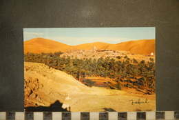 CP,  ALGERIE,  ALGERIA - Bechar - Taghit - Bechar (Colomb Béchar)