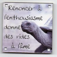 MAGNET PLASTIQUE     TORTUE    RENONCER A L ENTHOUSIASME DONNE DES RIDES - Humour