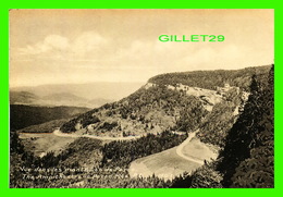 PERCÉ, QUÉBEC - VUE DANS LES MONTAGNES DE PERCÉ - PHOTOGELATINE ENGRAVING CO - DIMENSION 10 X 15 Cm - - Percé