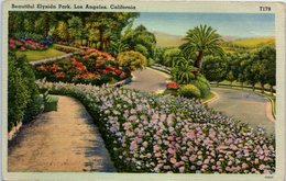 Beautiful Elysian Park . Los Angeles. California - Los Angeles